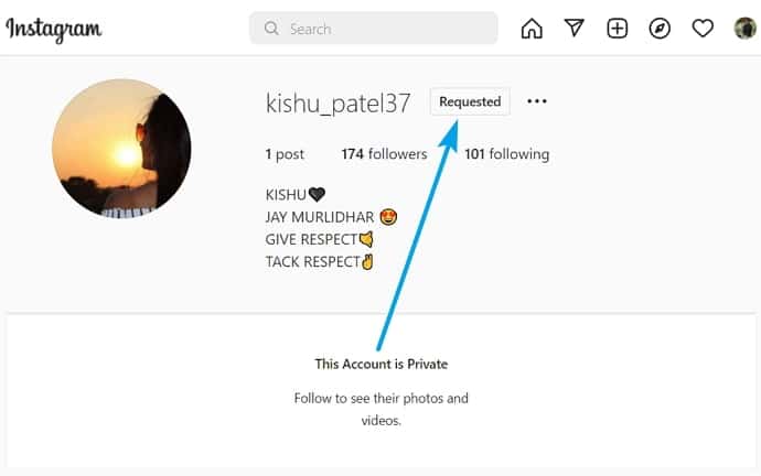 como descobrir os seguidores de uma conta privada no instagram